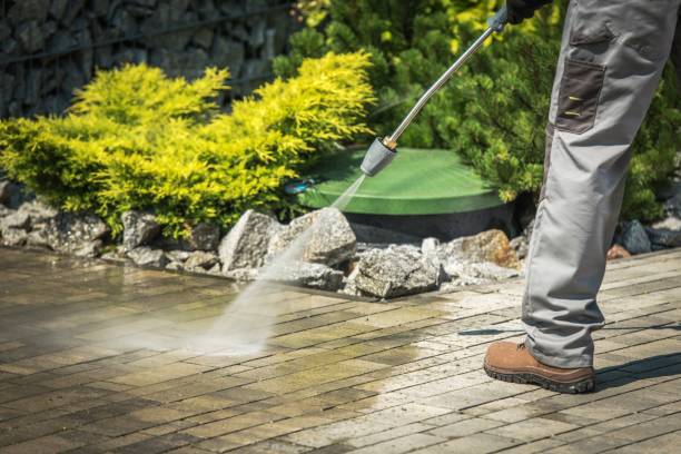Playground Equipment Cleaning in Pine Hills, FL