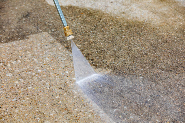 Professional Pressure Washing in Pine Hills, FL