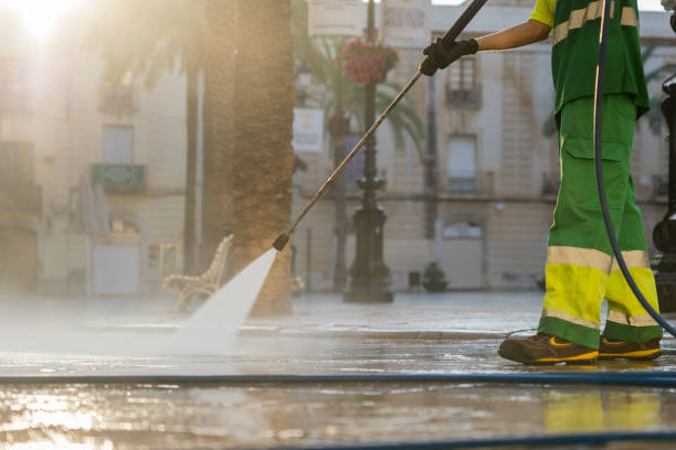 Best Roof Washing  in Pine Hills, FL